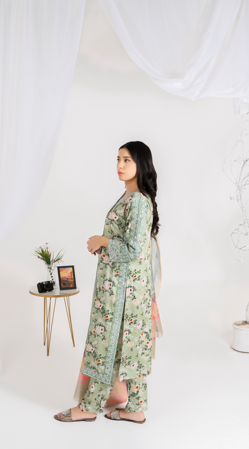 3 piece suit organza dupatta