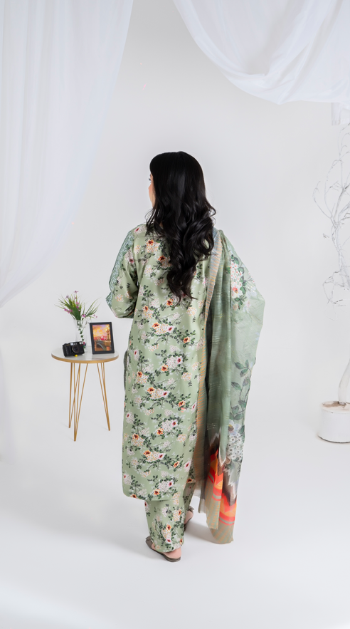 3 piece suit organza dupatta