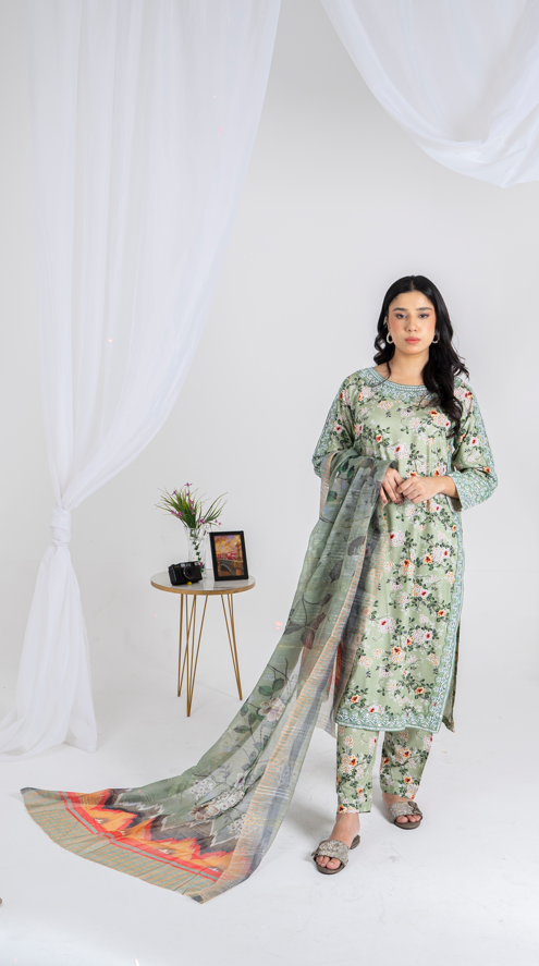 3 piece suit organza dupatta