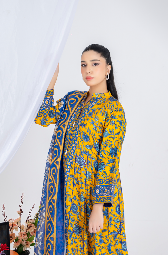 3 piece suit embroidered with geogrette dupatta
